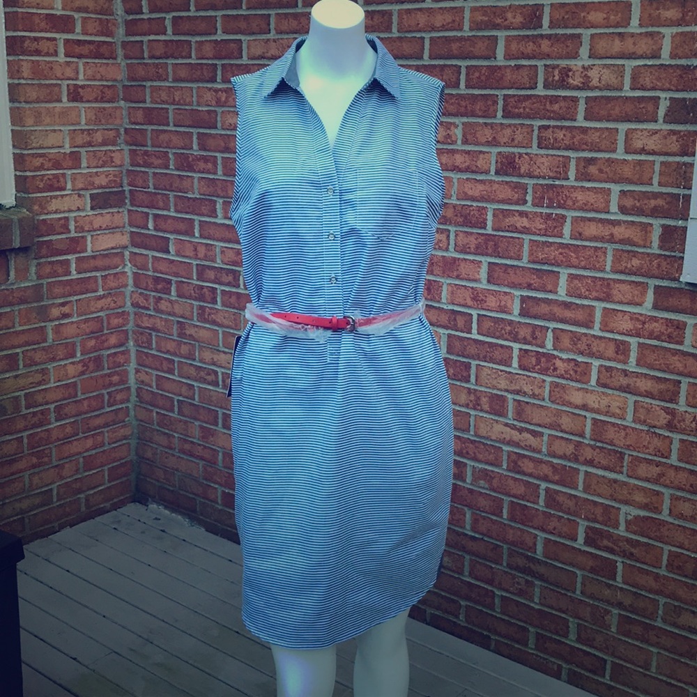 The Limited Small Ashton Dress Blue striped NWT